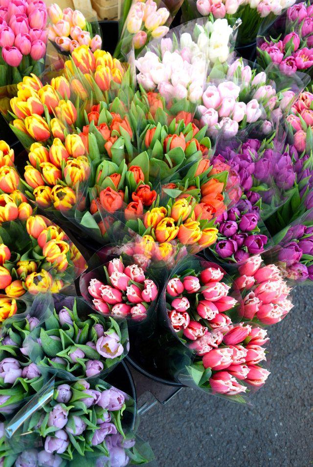 Morning Dew Delightful Bouquet